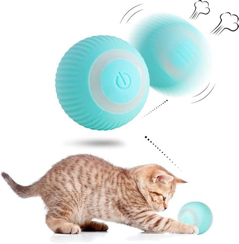 Amazon.com.au : wloom cat toy.